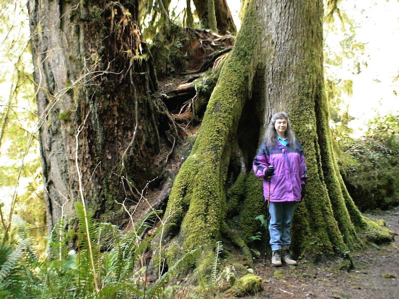 Melanie by clump of tree trunks