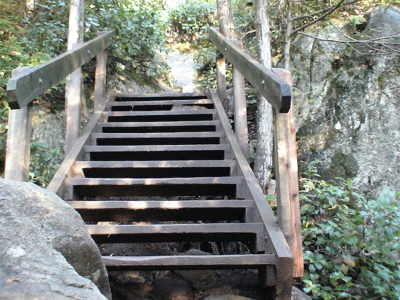 Looking up wooden stairs