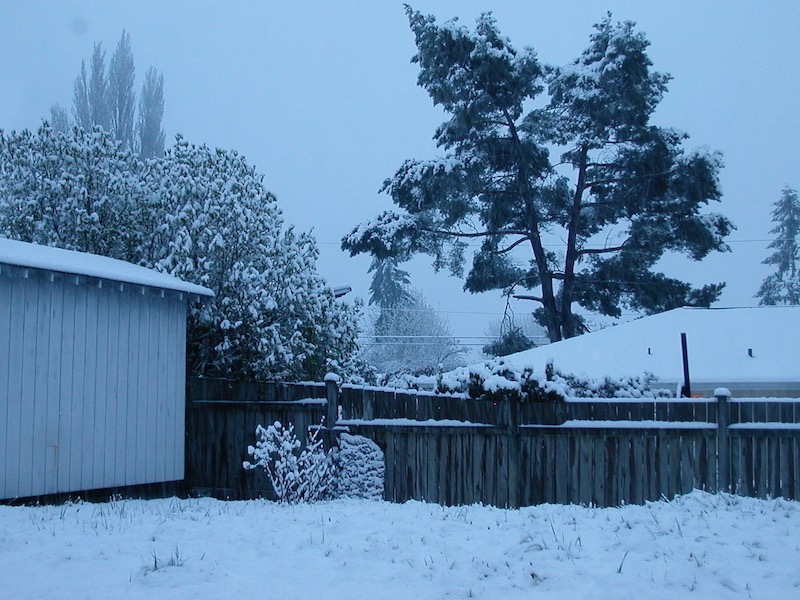 Snow on grass and roofs