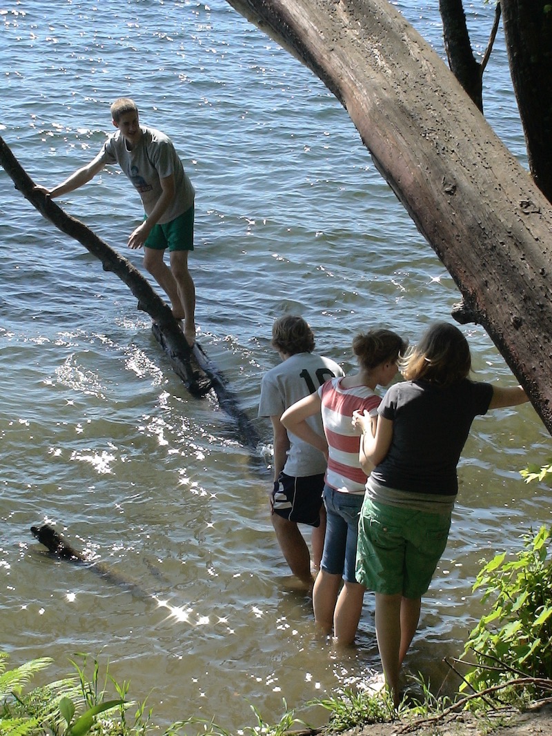 On branch over water