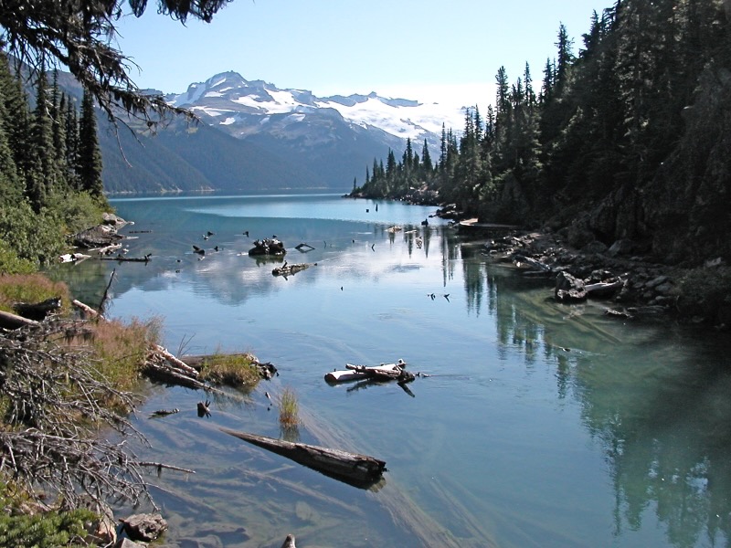 outlet arm of lake