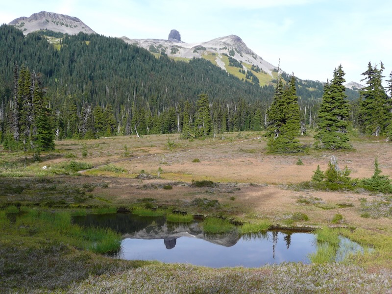 meadow, a reflecting tarn and Tusk in distance