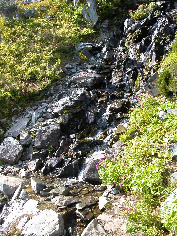 running water across trail