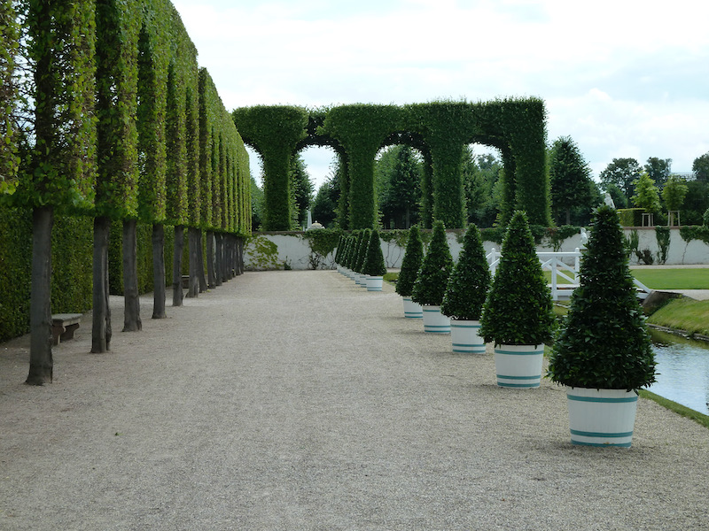 Sculptured lines of trees