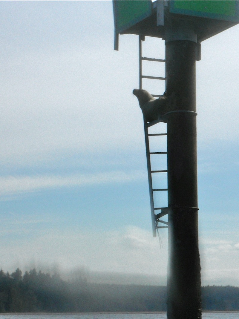 Seal up on navigation pylon