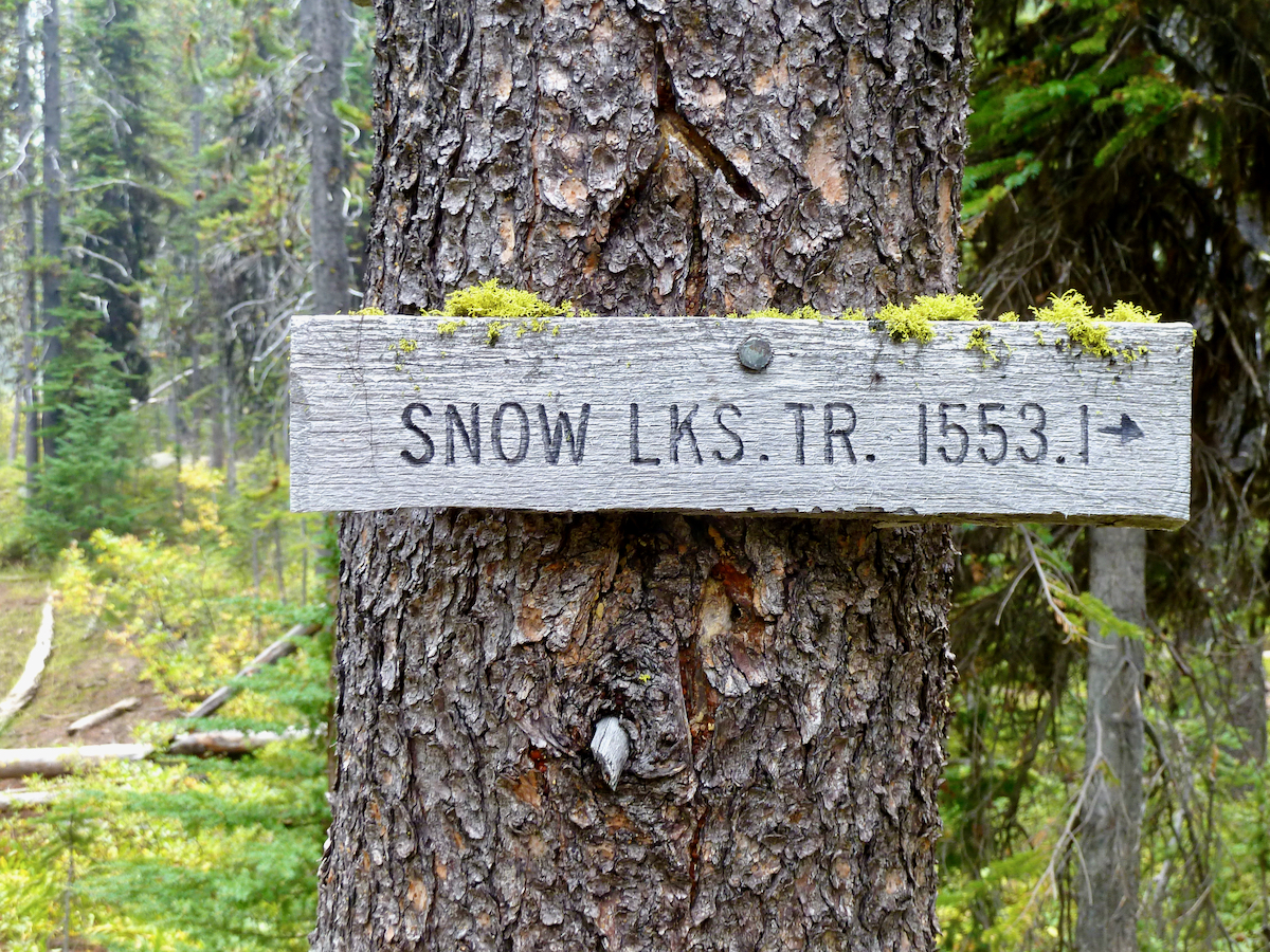 wooden trail marker on tree