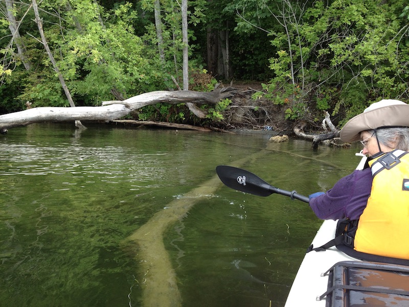 Melanie by kayak