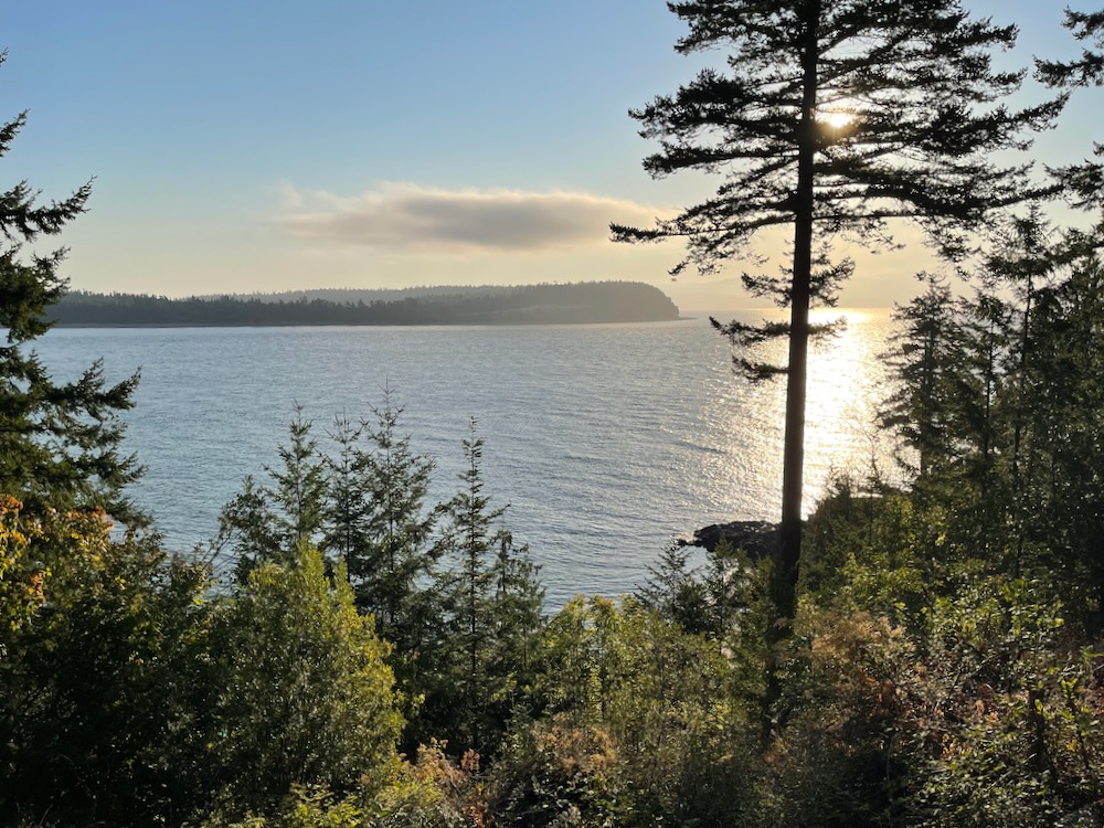 looking over trees across water to land on other side