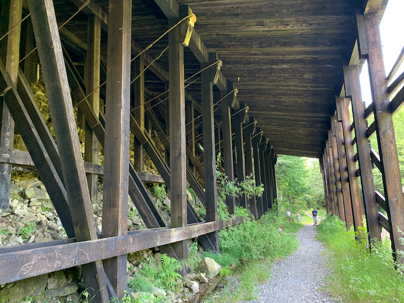 under a tall train shed