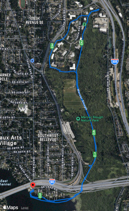 track through Mercer Slough