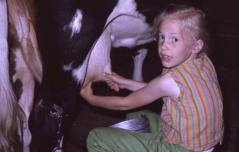 Marilyn milking a cow