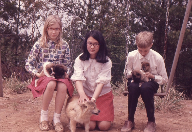 Kids holding puppies