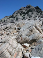2004_ptarmigan8