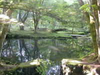 2005_japan10