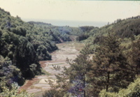 2005_japan103