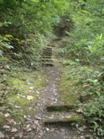 2005_japan67