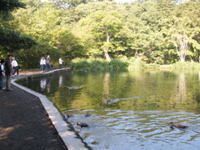 2005_japan9