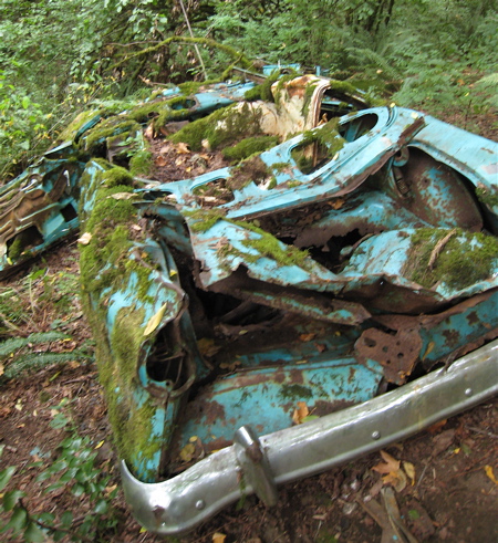 20070826_WalkWoods2