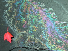 20071020_FallColors14