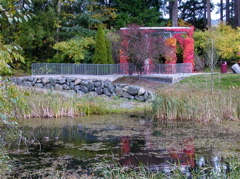 20071020_FallColors15