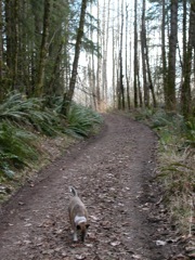 20080224_lord_hill0