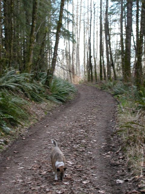 20080224_lord_hill0