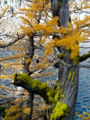 2010_enchantments32