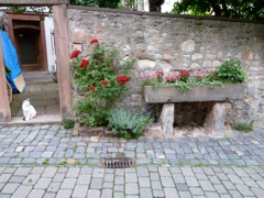 2011_germany10
