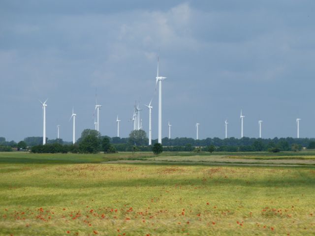 2011_germany78