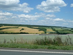 2011_germany79