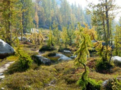 2012_enchantments11