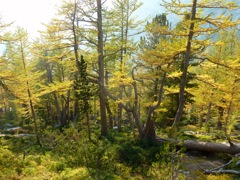 2012_enchantments15